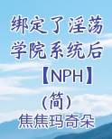 绑定了淫荡学院系统后【NPH】(简)